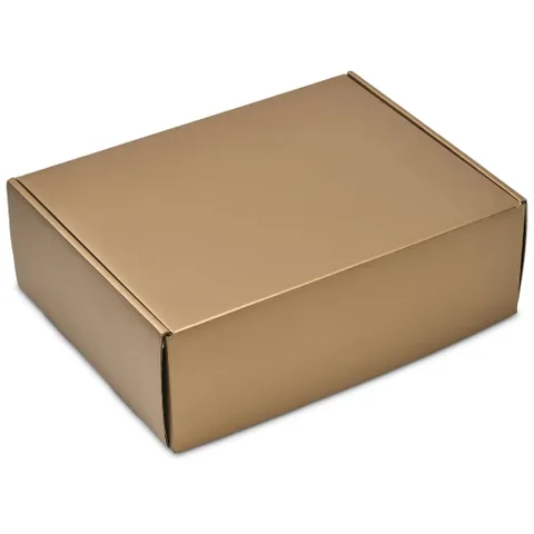 cp-al-1021-b-gd-no-logo_1024x1024