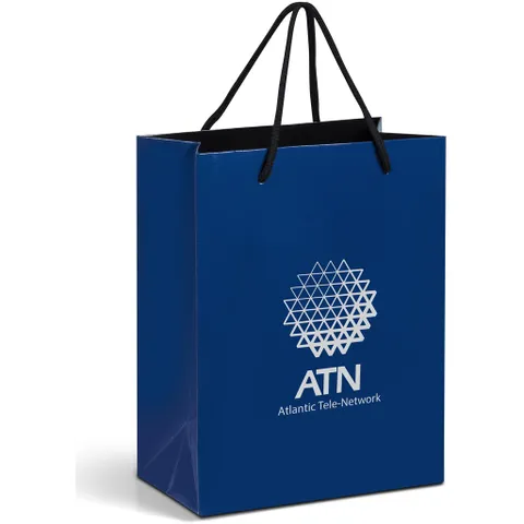 GIFTBAG-1000-N_1024X1024.jpg