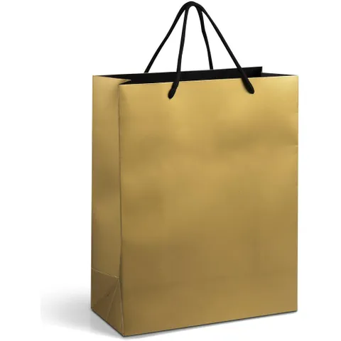 GIFTBAG-1005-GD-NO-LOGO_1024X1024.jpg