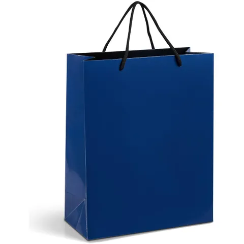 GIFTBAG-1005-N-NO-LOGO_1024X1024.jpg