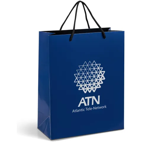 GIFTBAG-1005-N_1024X1024.jpg