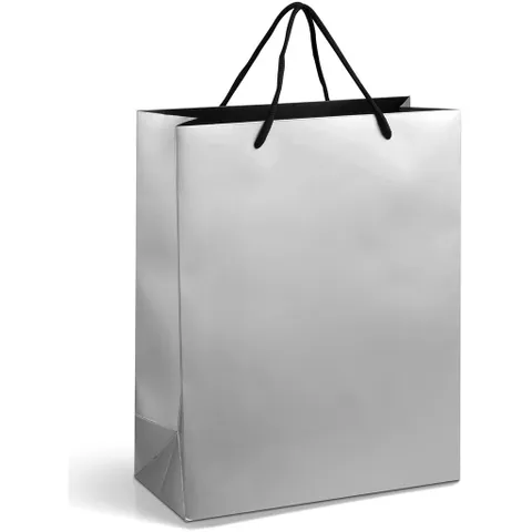 GIFTBAG-1005-S-NO-LOGO_1024X1024.jpg