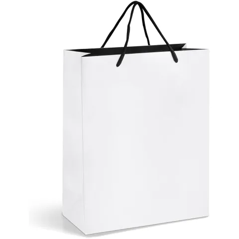 GIFTBAG-1005-SW-NO-LOGO_1024X1024.jpg