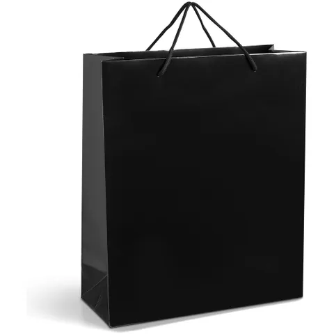 GIFTBAG-1010-BL-NO-LOGO_1024X1024.jpg
