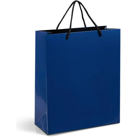 GIFTBAG-1010-N-NO-LOGO_1024X1024.jpg