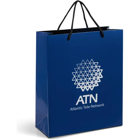 GIFTBAG-1010-N_1024X1024.jpg
