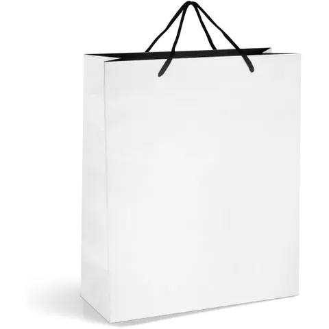 GIFTBAG-1010-SW-NO-LOGO_1024X1024.jpg