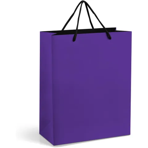 GIFTBAG-2020-P-NO-LOGO_1024X1024.jpg