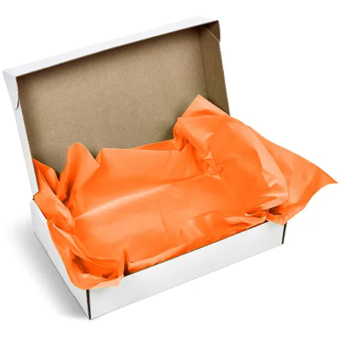 pg-am-415-b-o-05-no-logo_1024x1024