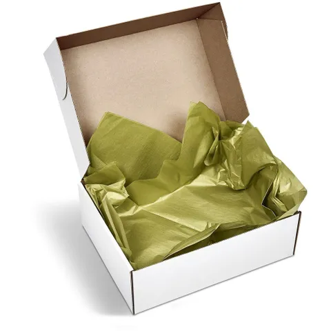 pg-am-416-b-gd-01-no-logo_1024x1024