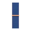 250513160039295378