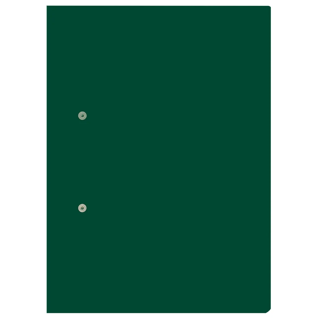 accessible files - 320g - green - 4 pack