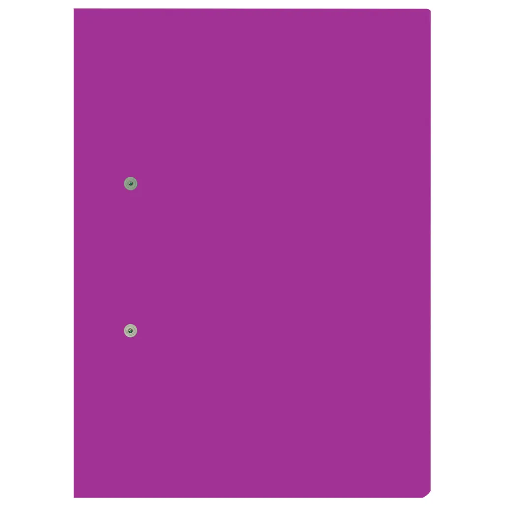 accessible files - 320g - violet - 4 pack