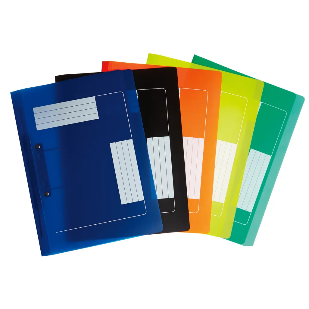 polypropylene accessible files - 350mm x 280mm - blue