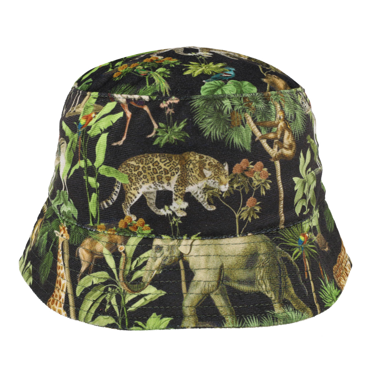jungle_front