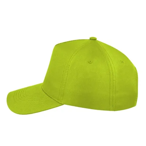 lime_left_side_80dd8a55-5c0c-4a7c-9c71-43d8f7604928