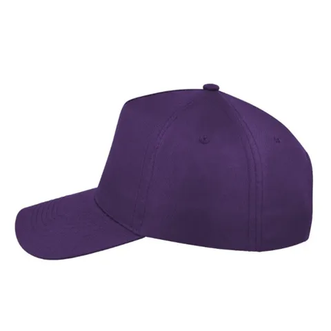 purple_left_side_2dce8d11-cd2b-4a2f-a2ed-29b2ae5e86de