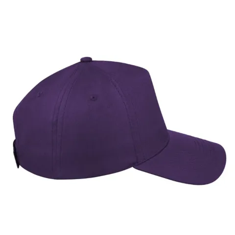 purple_right_side_5df1d50f-9db2-4346-8d8b-4a303400fc45