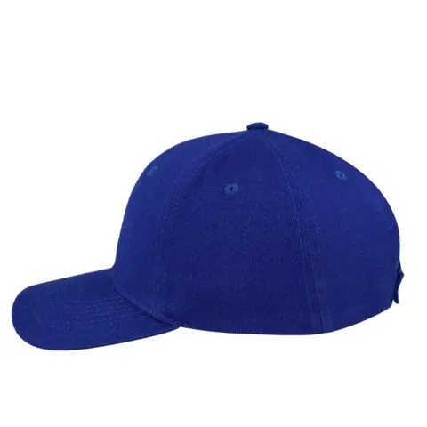 royal_blue_left_side