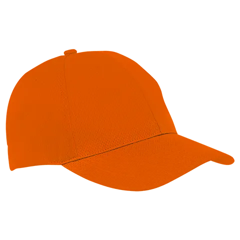 303236-main.png