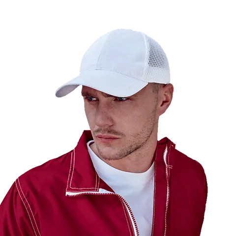 305681-main.png