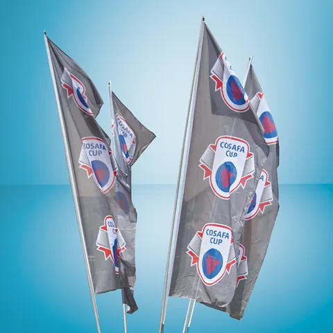 dis-13-cj-main-png