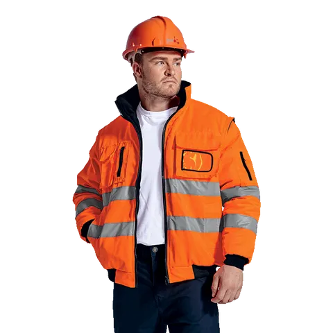 303764-main.png