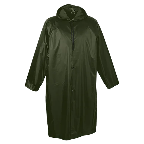co-19-mo-olive