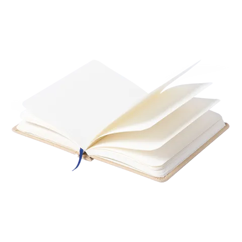 307058-main.png