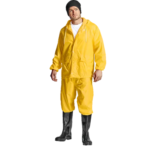 303756-main.png