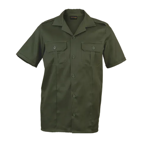 sec-11-qw-olive