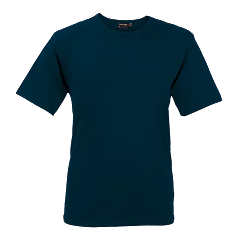 tst-02-ss-navy