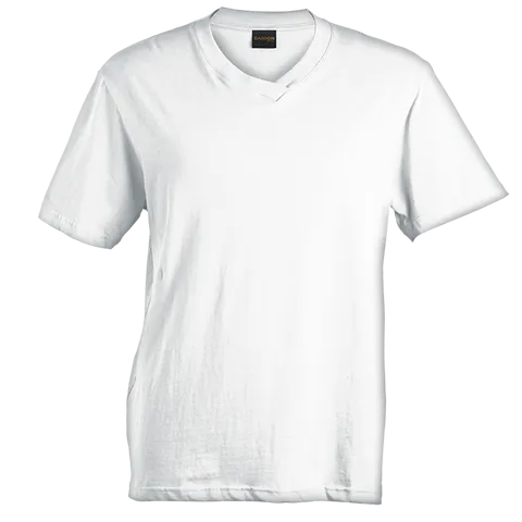 tst-02-qa-white