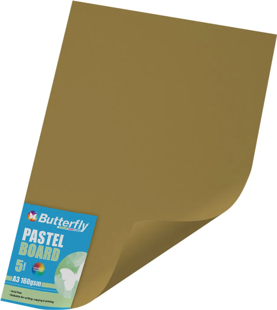 160gsm pastel board Office National