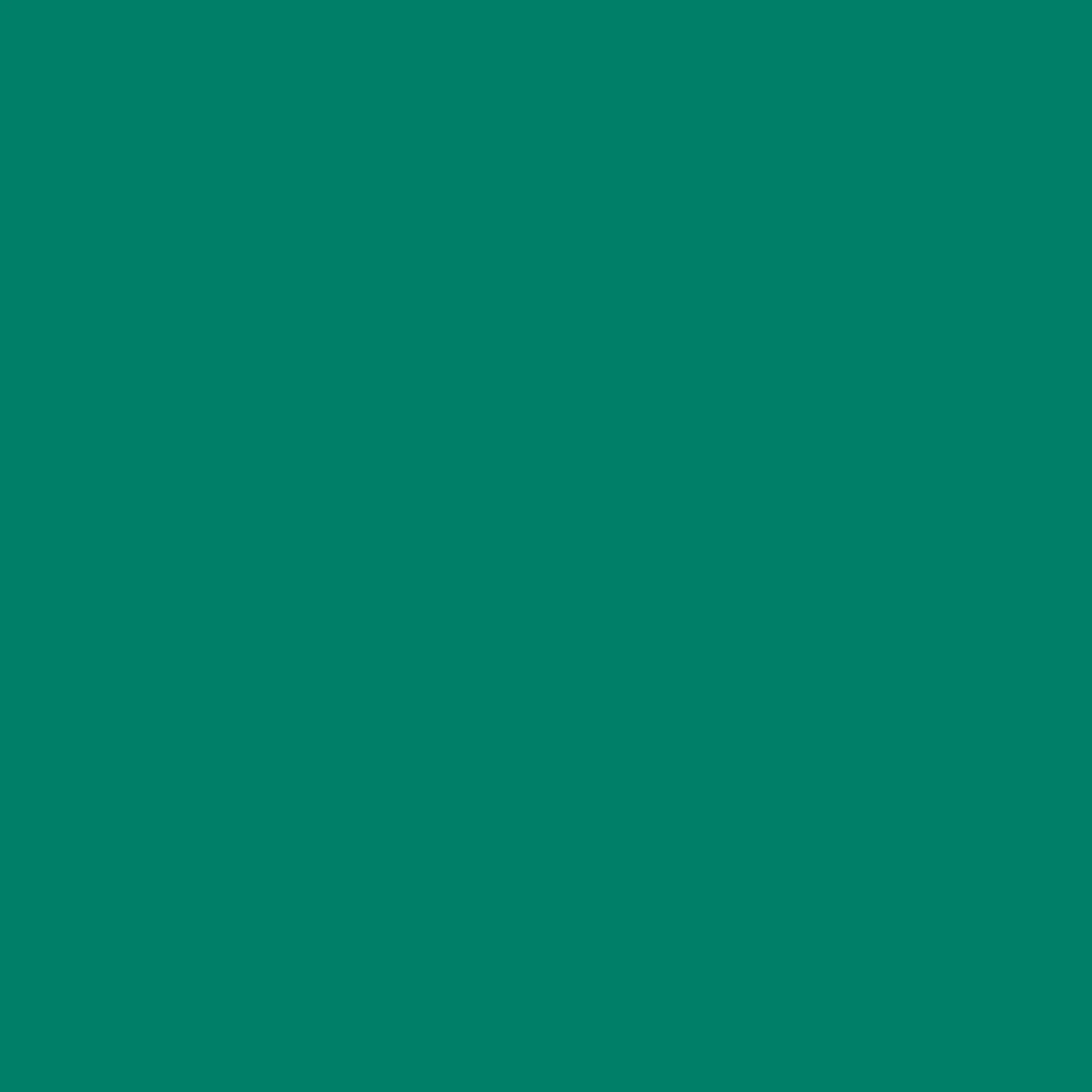 2007106 - Cricut Joy Smart Vinyl Permanent 14x122cm (Kelly Green)