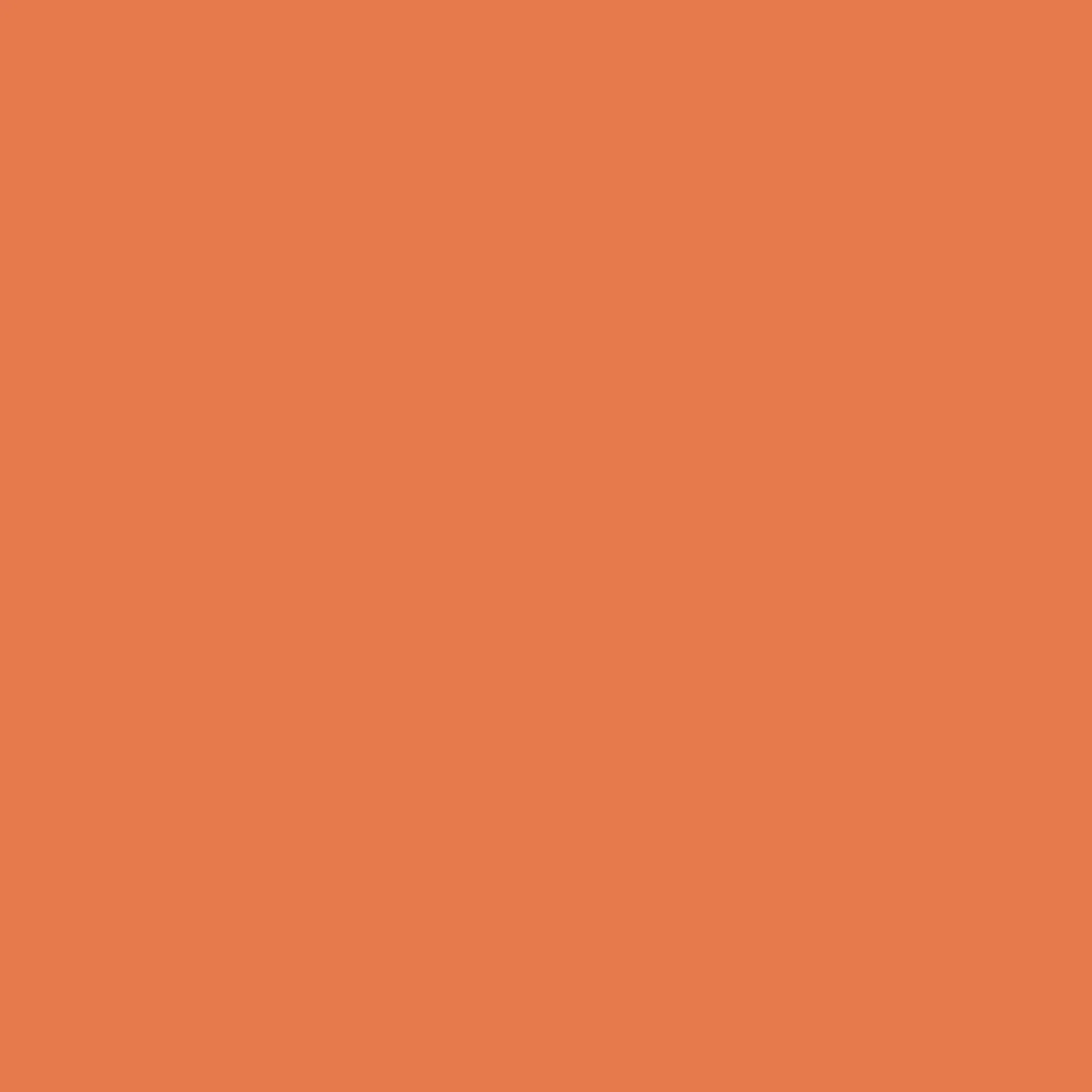 2008032 - Joy Smrtvnl P G EMEA Orange 5.5x48(1)