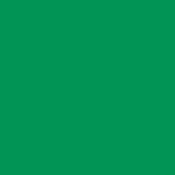 2008623 - Cricut Smart Vinyl Permanent 33x91Cm 1 Sheet (Grass)