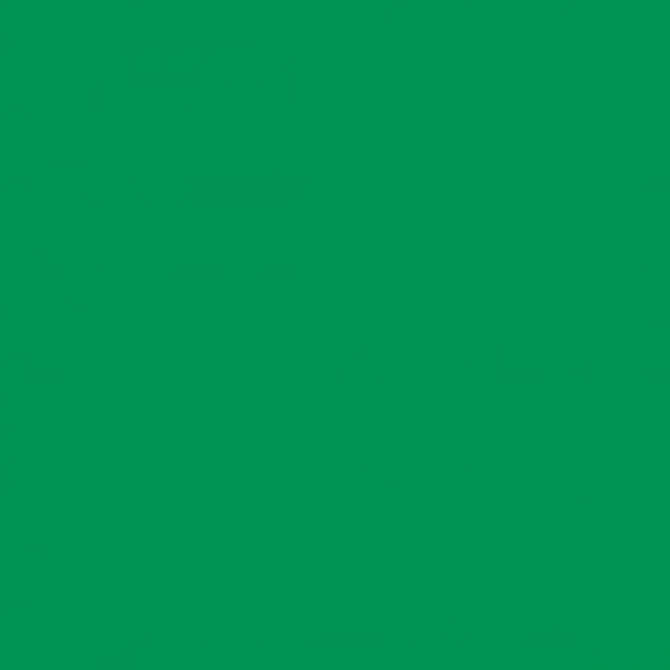 2008686 - Cricut Smart Iron-on 33x91cm 1 sheet (Grass)