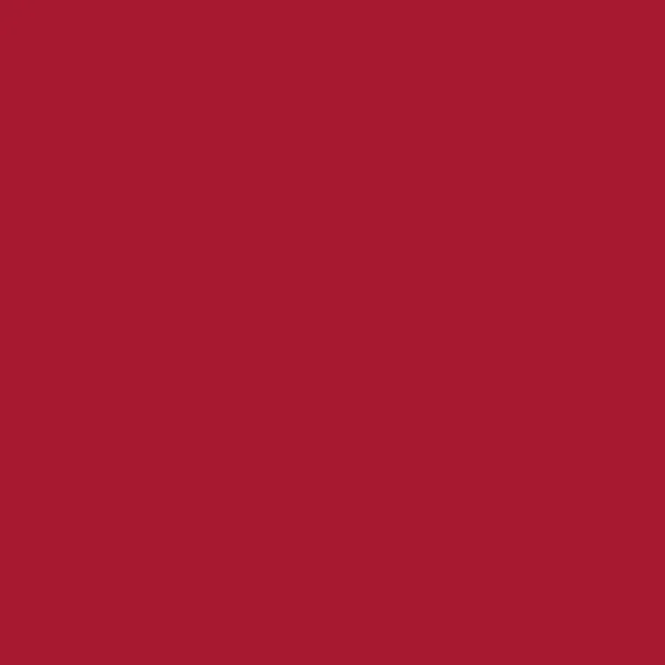 2008691 - Cricut Smart Iron-on 33x91cm 1 sheet (Red)