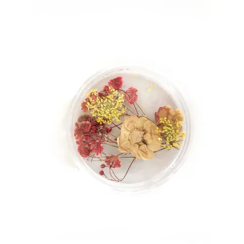3D-dry-flowers