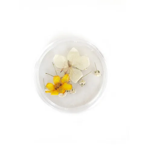 3D-dry-flowers