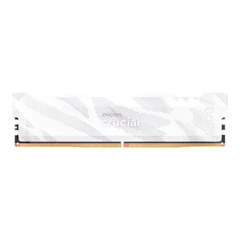 cover-picture-cp16g64c32u5w.png
