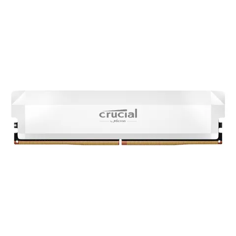 cover-picture-cp16g64c38u5w.png