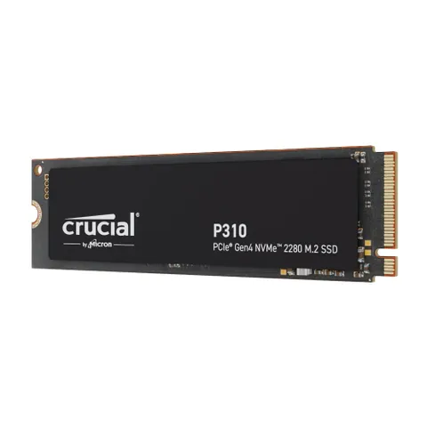 ct1000p310ssd8-t-1.png