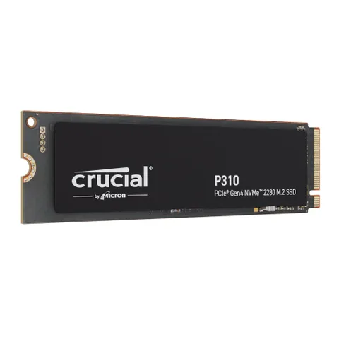 ct1000p310ssd8-t-2.png