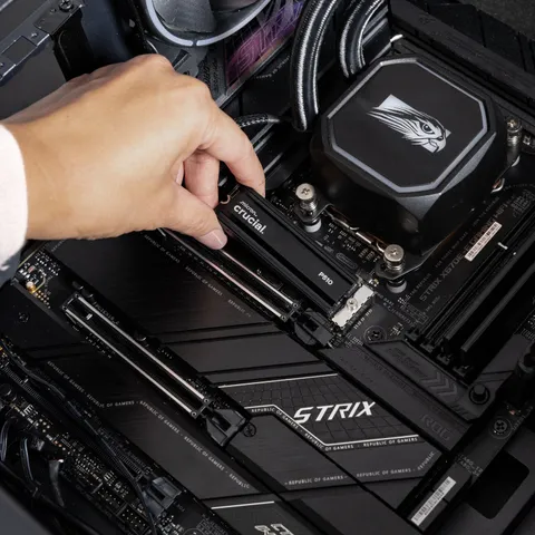 ct1000p510ssd5-8.png