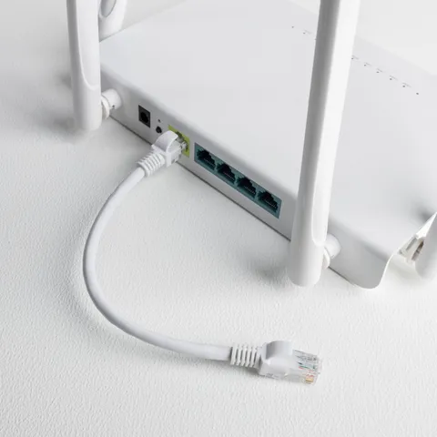 gcpcat6005-wh-2.png