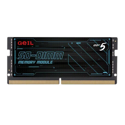 cover-picture-gs516gb5600c46sc.png
