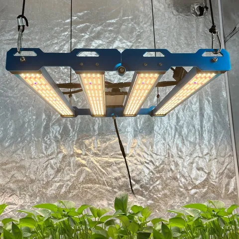 p55-240w-281b-uv-ir-5.png