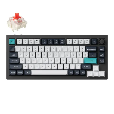 cover-picture-q1m-m1.png